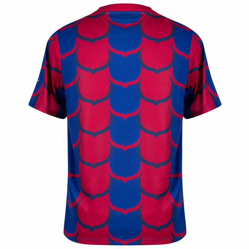 CAMISETA BARCELONA CAPACITACIÓN 24/25 HOMBRE